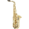 Esalto Sax100x100 tr